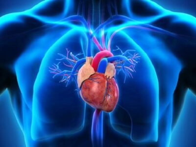 Cardiology