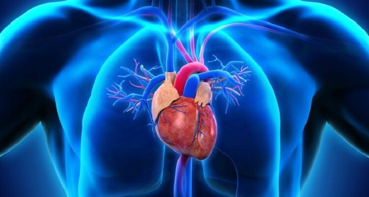 How Diagnostic Imaging Is Revolutionizing Cardiology Cardiology