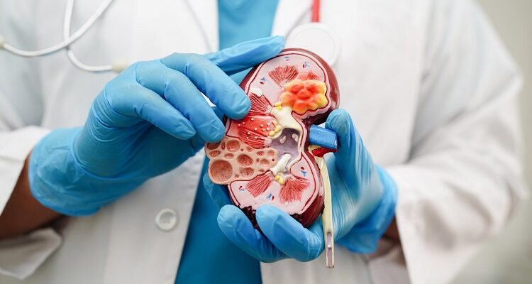 The Art Of Urological Care: Healing Beyond Medicine Urological Care