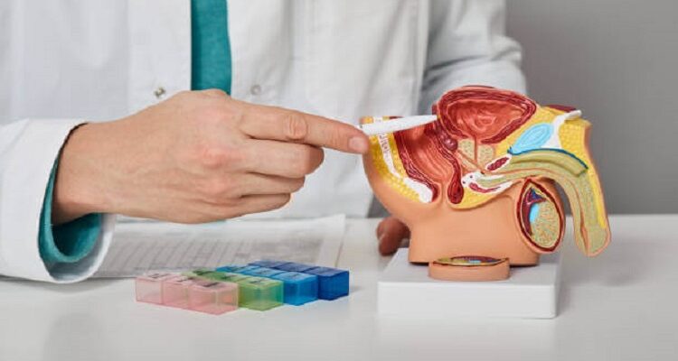 Understanding Urinary Incontinence: A Urologist's Guide Urologist's